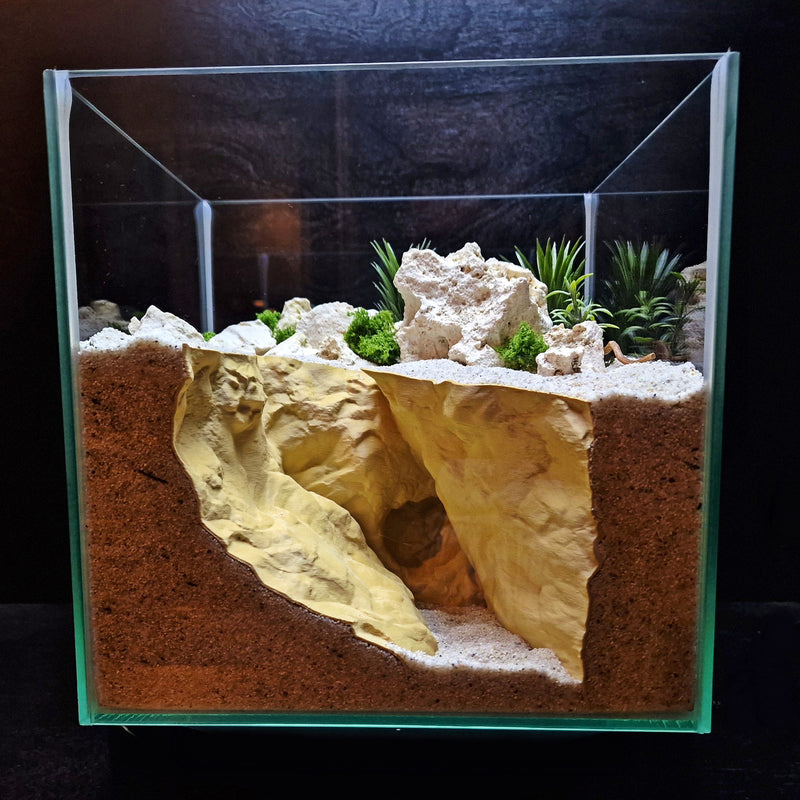 Coralveil Cavern Aquarium Cave