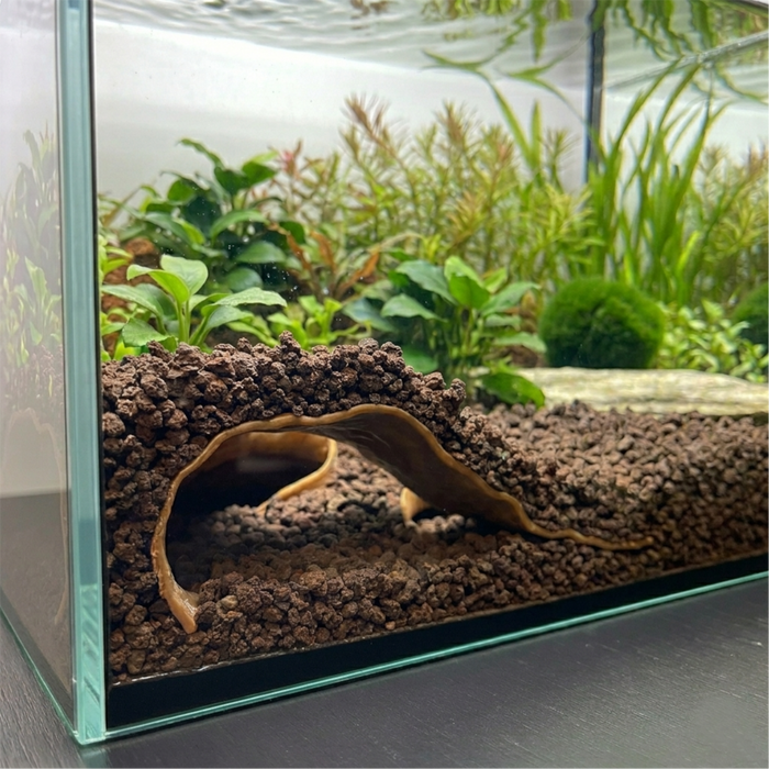 Riptide Aquarium Cave