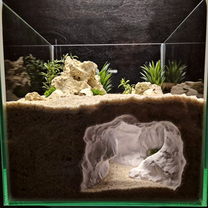Mistreef Den Aquarium Cave