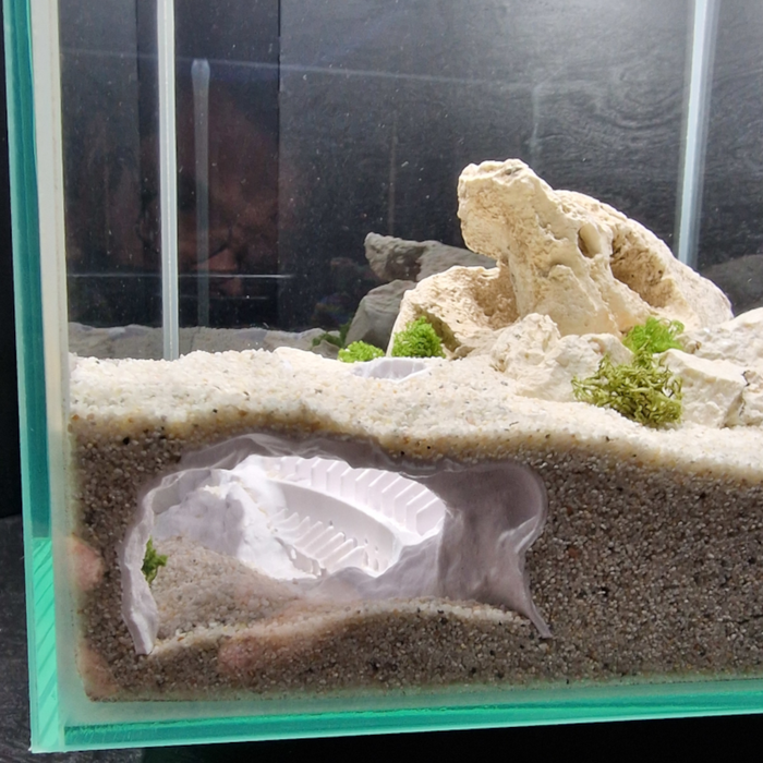 Sunken Colosseum Aquarium Decor