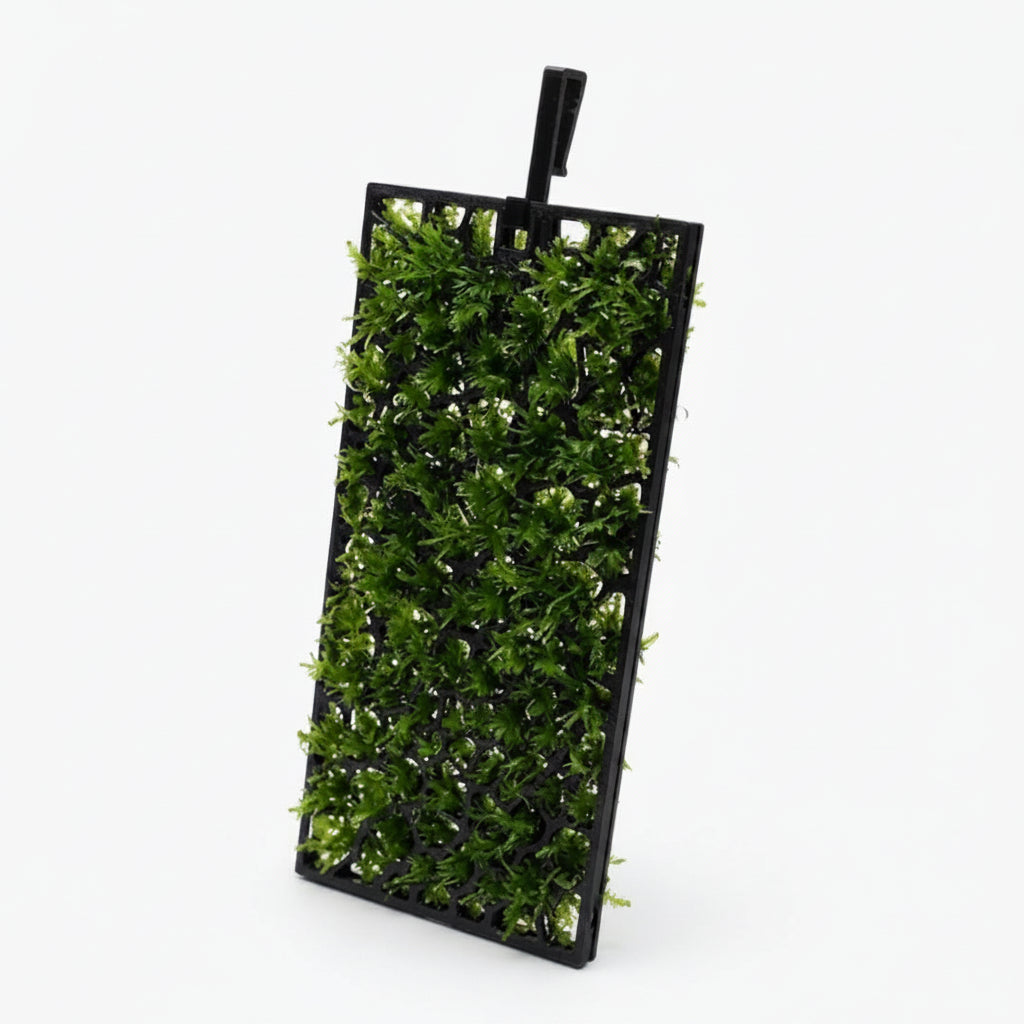 Aquarium Moss Grow Frame