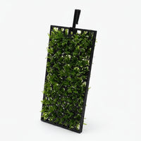 Aquarium Moss Grow Frame