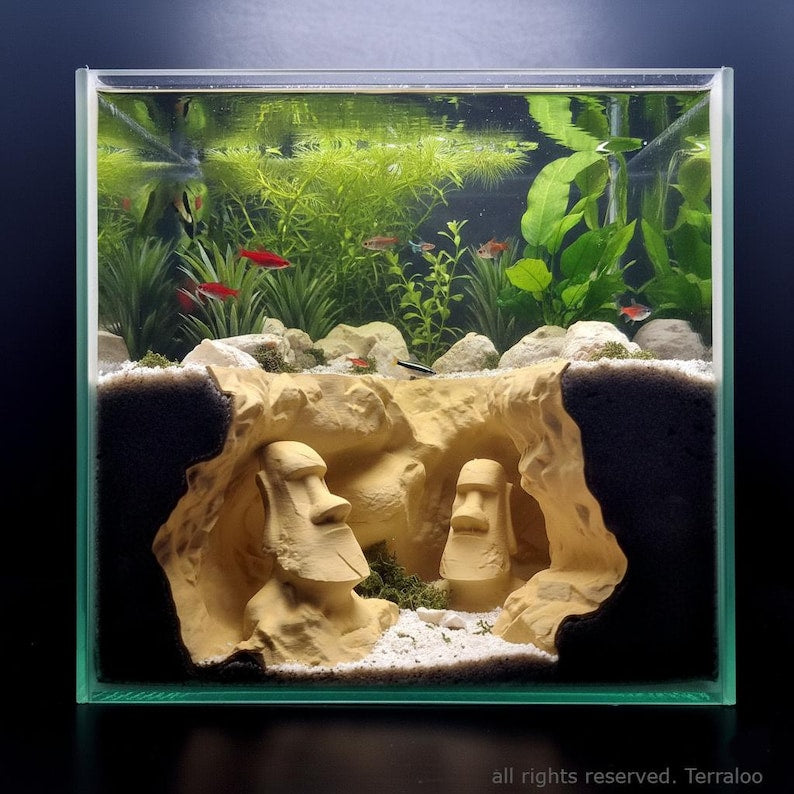 Easter Island Aquarium Cave