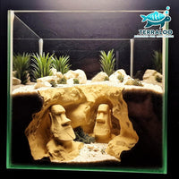 Easter Island Cave in tank