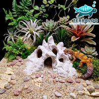 Hadals Rise Cave in tank