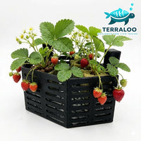 Aquarium Hydroponic Planter Box 120x120x70