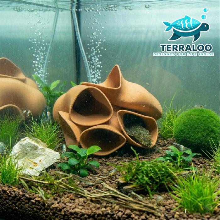 Pleco Hotel Aquarium Cave