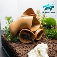 Pleco Hotel Aquarium Cave with pleco