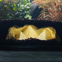 Giza Egypt Sanctum Aquarium Cave