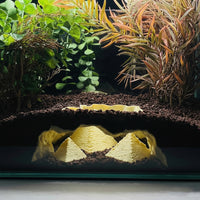 Giza Egypt Sanctum in tank