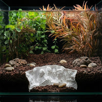 Rushmore Hollow Cave in tank