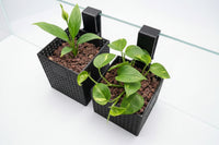 Aquarium Hanging Planter PETG Riparium Holder