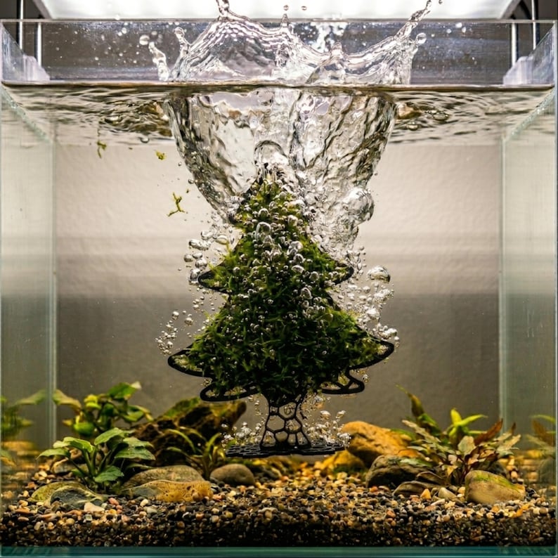 Christmas Tree Moss Grow Out Frame