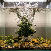 Christmas Tree Moss Grow Out Frame
