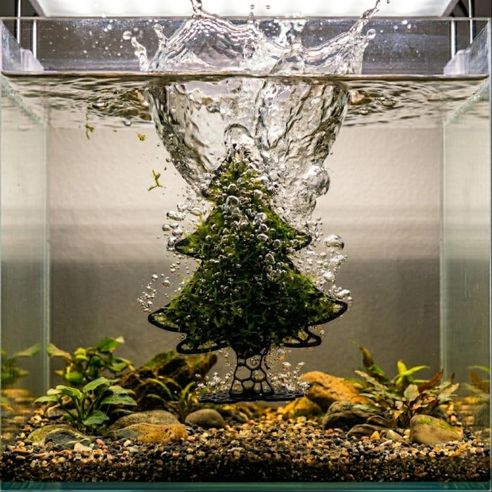 Christmas Tree Moss Grow Out Frame