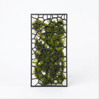 Moss Grow Frame with moss growth