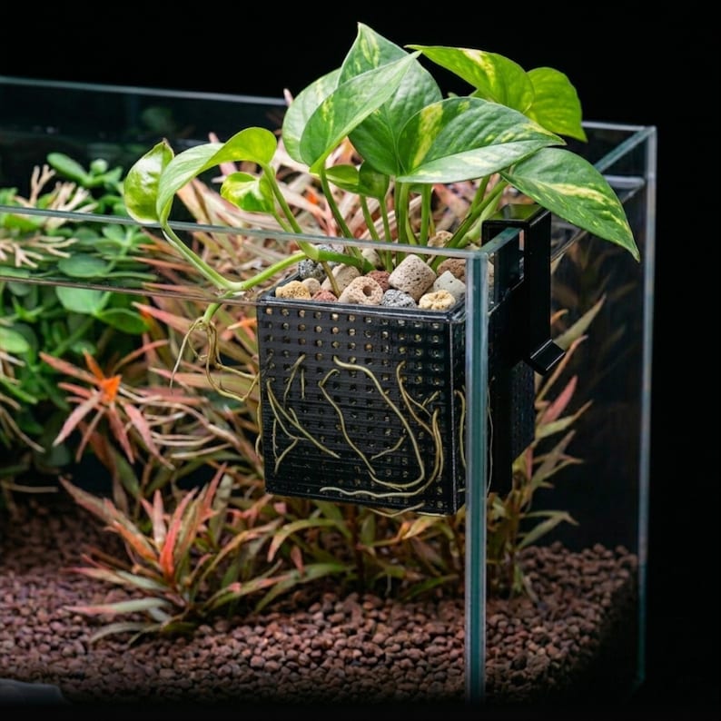 Aquarium Corner Media Planter Box