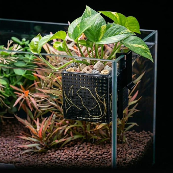 Aquarium Corner Media Planter Box