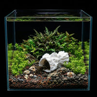 Skull Pleco Cave Hide