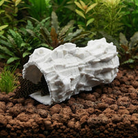 Skull Pleco Cave in tank