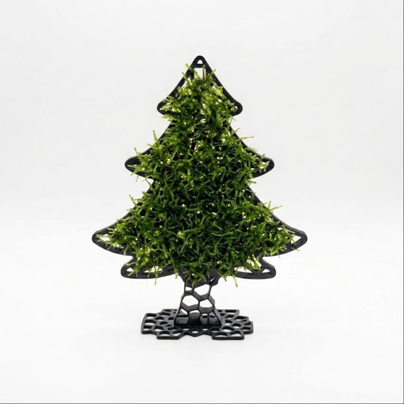 Christmas Tree Moss Frame with moss growth