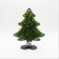 Christmas Tree Moss Frame with moss growth