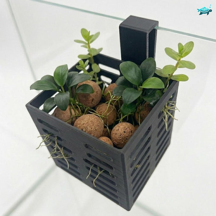 Aquarium Hanging Riparium Planter