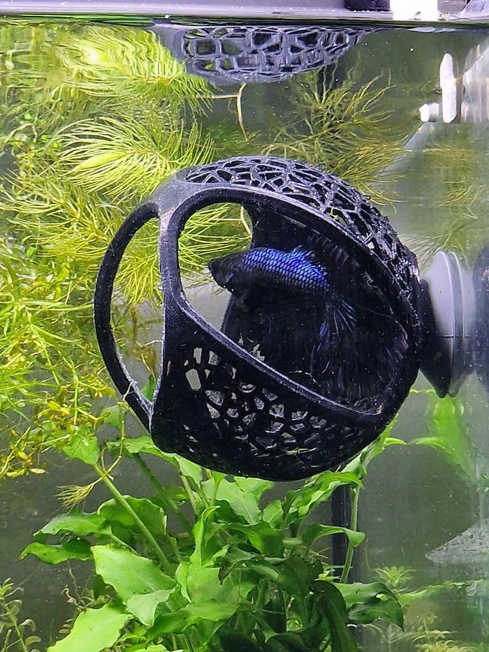 Betta Fish Hide Floating Sphere